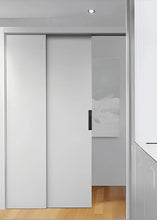Load image into Gallery viewer, INSIPIRA LIFESTYLES | Yuka Sliding Door Handles - SLIDING DOOR PULL, SLIDING DOOR HARDWARE, SLIDING DOOR HANDLES, SLIDING DOOR HANDLE, RECESSED SLIDING DOOR PULL, RECESSED SLIDING DOOR HANDLE, RECESSED DOOR HARDWARE, POCKET DOOR PULL, POCKET DOOR HANDLE, MODERN DOOR HANDLES, MODERN DOOR HANDLE, LONG DOOR PULLS, FLUSH DOOR HARDWARE, EMBEDDED DOOR HARDWARE, DOOR PULLS, DOOR PULL, DOOR HARDWARE, DOOR FURNITURE, BARN DOOR PULL, BARN DOOR HANDLE