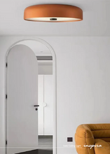 Load image into Gallery viewer, INSPIRA LIFESTYLES - Ivalo Ceiling Light, circular LED ceiling light, iron body ceiling fixture, frosted diffuser ceiling light, Scandinavian ceiling light, hallway ceiling lighting, bedroom ceiling light