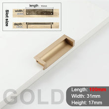 Load image into Gallery viewer, INSPIRA LIFESTYLES - Quo Recessed Pull Handles. SLIDING DOOR HARDWARE, HIDDEN HANDLES, RECESSED HANDLES, CABINET HARDWARE, DOOR PULLS, DRAWER PULLS, FURNITURE HANDLES, BARN DOOR HARDWARE, WARDROBE HARDWARE, BATHROOM HARDWARE, KITCHEN HARDWARE