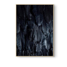 Load image into Gallery viewer, INSPIRA LIFESTYLES - Plume Photo Series - ABSTRACT ART, ABSTRACT PHOTOGRAPHY, ART FOR WALLS, B&W PHOTO, BLACK & WHITE PHOTOGRAPHY, BLACK AND WHITE ART, CANVAS ART, CANVAS PRINTS, FEATHER PHOTOGRAPHY, FEATHER PHOTOS, MINIMALIST PHOTOGRAPHY, MODERN ART, MODERN PHOTOGRAPHY, PHOTOGRAPHIC SERIES, PHOTOGRAPHY, WALL ART, WINGS PHOTOGRAPHY