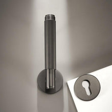Load image into Gallery viewer, INSPIRA LIFESTYLES - Reed Door Lever Sets - DOOR FURNITURE, DOOR HARDWARE, DOOR LEVER, DOOR LOCK KEY, DOOR LOCK SET, DOOR PULL, DOOR PULLS, LEVER, LEVER DOOR HANDLE, LEVER LOCK SET, MODERN DOOR HANDLES, MORTISE LOCK, REEDED DOOR HANDLE, REEDED DOOR LEVER, THUMB TURN LOCK, TUBULAR COIN LOCK