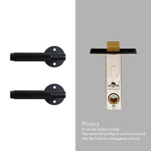 Load image into Gallery viewer, INSPIRA LIFESTYLES - Reed II Door Lever Sets - DOOR FURNITURE, DOOR HARDWARE, DOOR LEVER, DOOR LOCK KEY, DOOR LOCK SET, DOOR PULL, DOOR PULLS, LEVER, LEVER DOOR HANDLE, LEVER LOCK SET, MATTE BLACK DOOR HANDLES, MATTE BLACK HARDWARE, MODERN DOOR HANDLES, MORTISE LOCK, REEDED DOOR HANDLE, REEDED DOOR LEVER, THUMB TURN LOCK, TUBULAR COIN LOCK