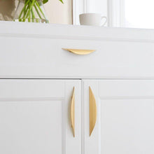 Load image into Gallery viewer, INSPIRA LIFESTYLES - Fin Pull Handles - CABINET HARDWARE, CABINET PULLS, CLOSET PULL, DECORATIVE PULL, DOOR PULL, DRAWER PULL, DRAWER PULLS, FURNITURE PULL, HANDLES, HARDWARE, KNOBS, METAL HARDWARE, PULLS
